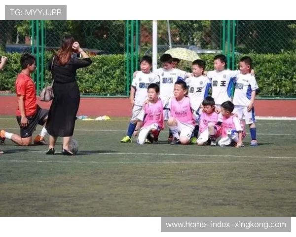 国王长期发展：外线体系的构建与青训引入并行推进